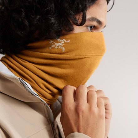Arc'teryx Rho Lightweight Wool Neck Gaiter 3