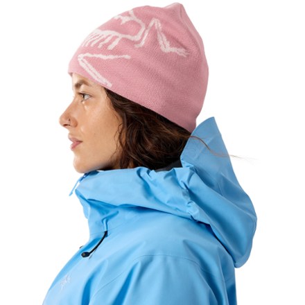Arc'teryx Bird Head Toque Beanie 3