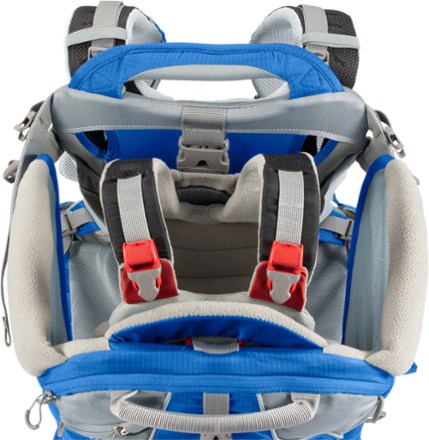 top view (Bouncing Blue)