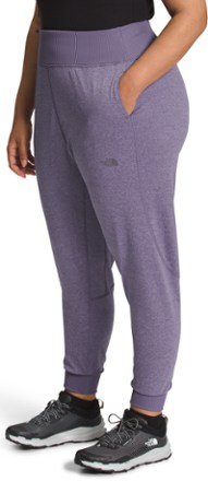 The North Face Dune Sky Joggers - Women's 5