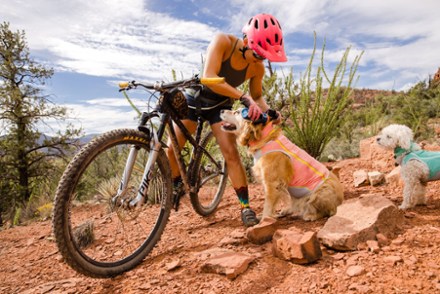 Location Image for Swamp Cooler Zip Dog Vest
