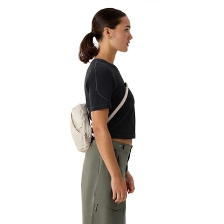 Arc'teryx Heliad Crossbody Bag 4