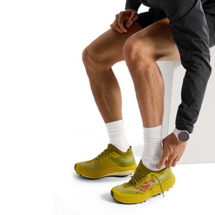 Arc'teryx Synthetic Lightweight Mid Socks 4