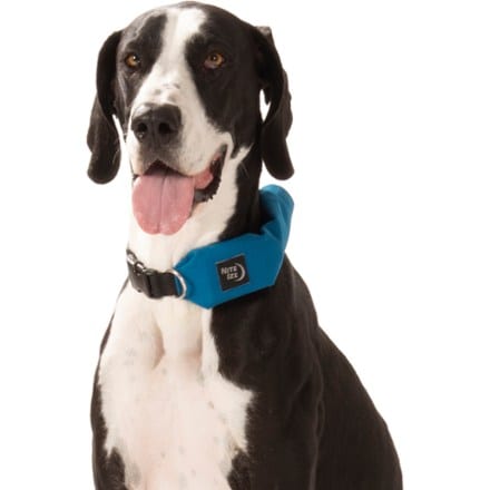 Nite Ize RadDog All-In-One Collar and Leash 1