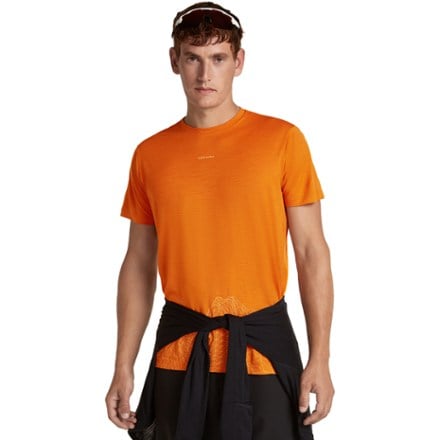 Icebreaker Merino 150 Tech Lite 3D Mapping T-Shirt - Men's 4