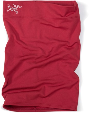 Arc'teryx Rho Neck Gaiter - Long | REI Co-op