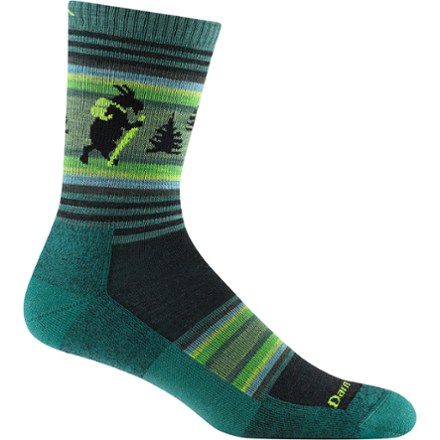 Darn Tough Willoughby Micro Crew Lightweight Hiking Socks - Men's 0