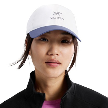 Arc'teryx Bird Word Cap 3