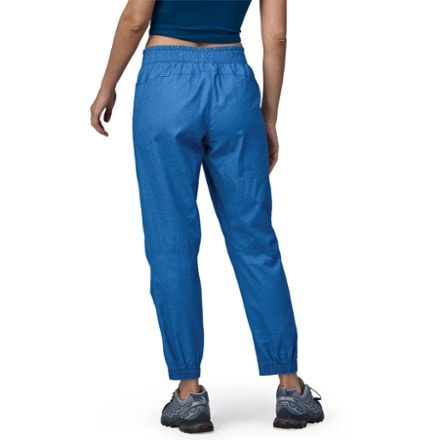 Patagonia Hampi Rock Pants - Women's | REI Co-op