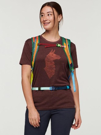Cotopaxi Tarak 20L Del Dia Pack 10