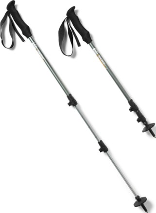 rei trekking pole