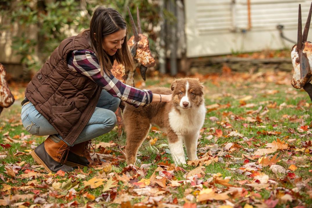 Location Image for Originals Leather Lace-Up Duck Boots - Women's