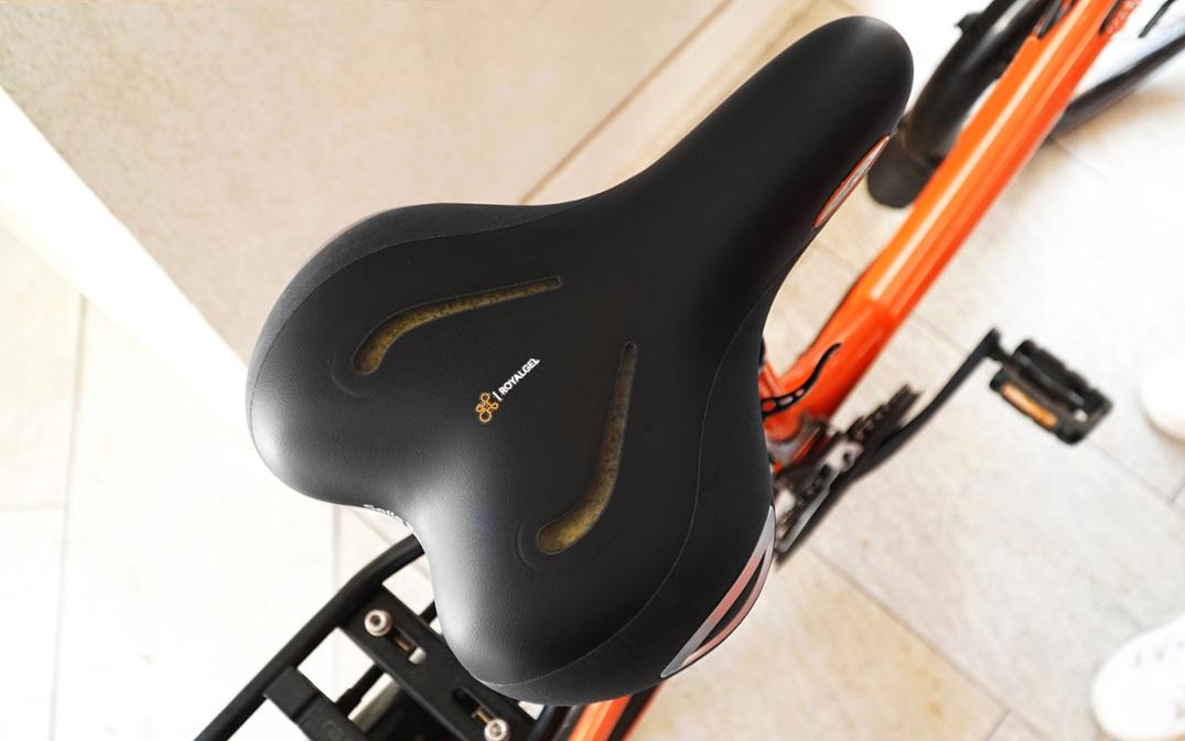 Location Image for Lookin Moderate Saddle