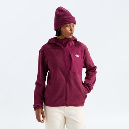The North Face Performance Fleece Full-Zip Hoodie - Women's 0
