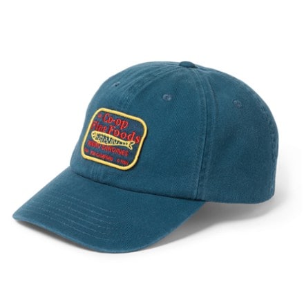 REI Co-op Everyday Graphic Cap 0