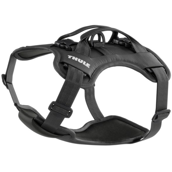 Product Image of color Black