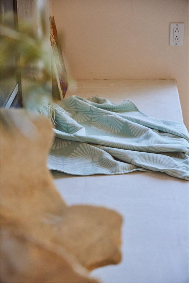 Location Image for Sidewinder Twill Blanket