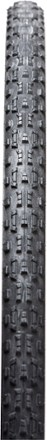 Panaracer GravelKing AC Tire 1
