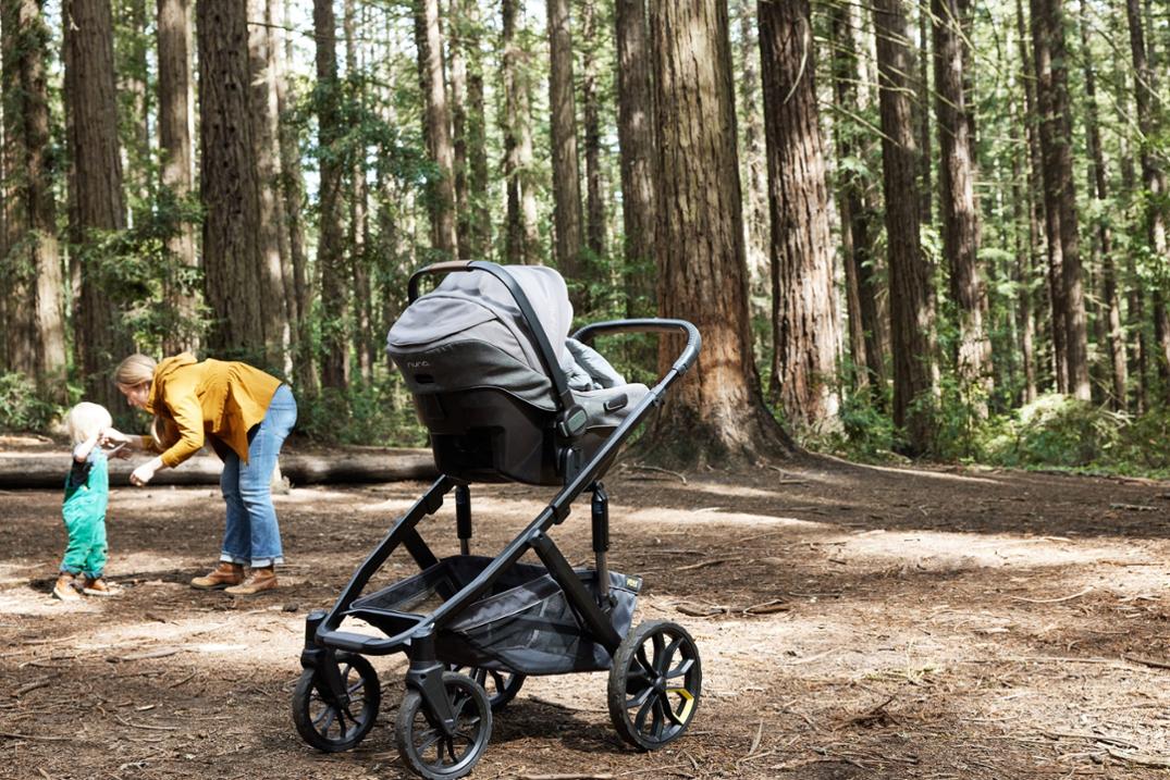 Location Image for Switchback &Roll Stroller Frame