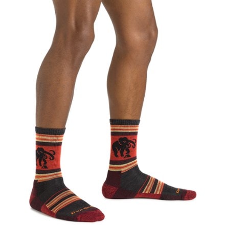 Darn Tough Willoughby Micro Crew Lightweight Hiking Socks - Men's 1