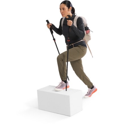 Arc'teryx Taema Thermal Hoody - Women's 6