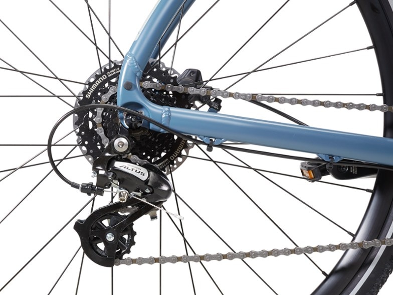 Rear derailleur (Saragasso Sea)