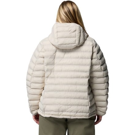 Columbia Terwilliger Trail Hooded Insulated Jacket - Women's 3