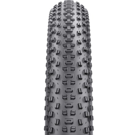 WTB Ranger TCS Light/Fast Rolling 60 tpi Dual DNA SG2 Tire | REI Co-op