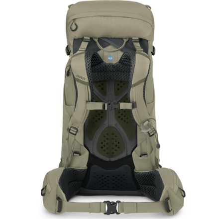 Osprey Kestrel 38 Pack - Men's