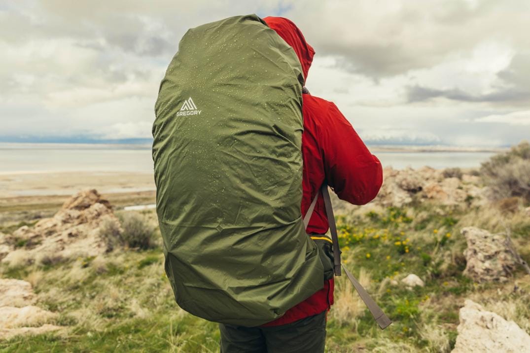 Location Image for Stout 60 Pack - Men's