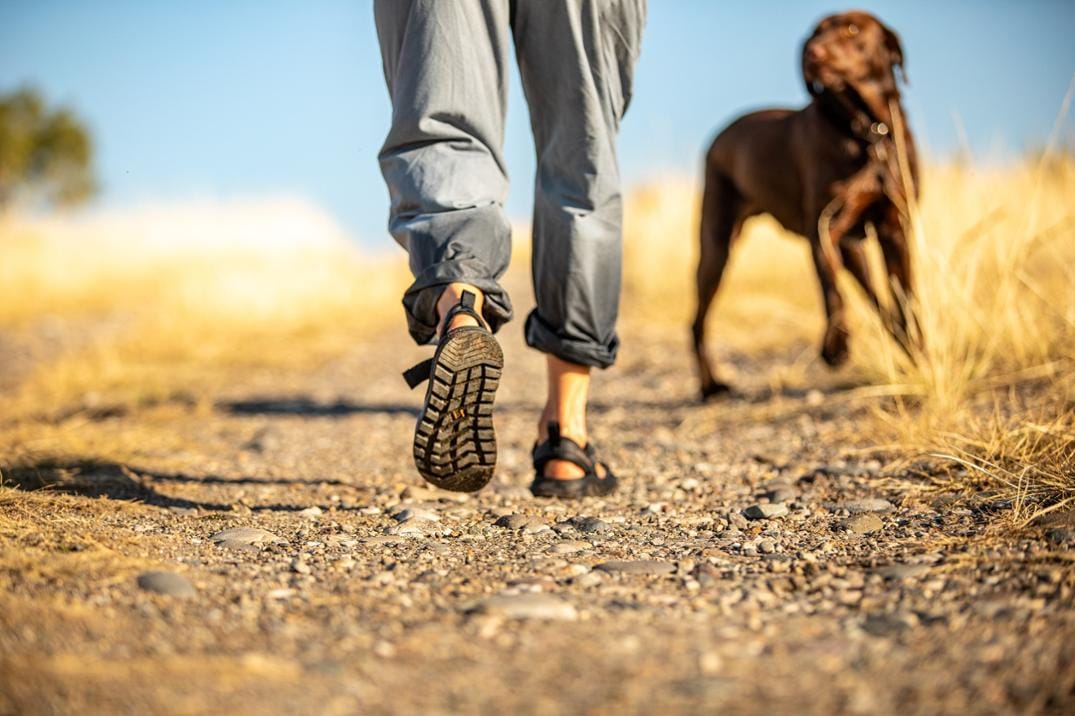 Location Image for Rogue Sandals