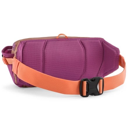 Patagonia Black Hole Waist Pack 5 L 6