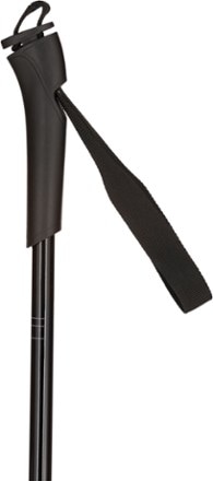 Rossignol FT 501 Cross-Country Ski Poles - Kids' 2