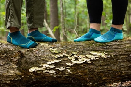 Darn Tough Light Hiker No Show Lightweight Hiking Socks - Women's 1