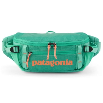 Patagonia Black Hole Waist Pack 5 L 2