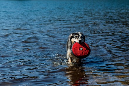In-Use (Red Currant)