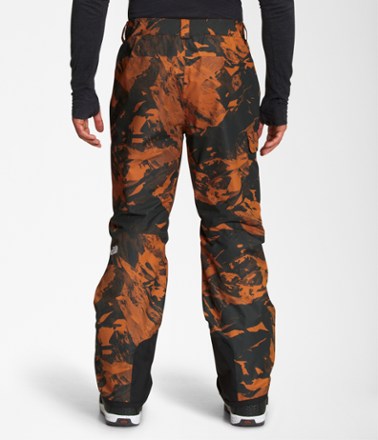 The North Face Freedom Snow Pants - Men's 1