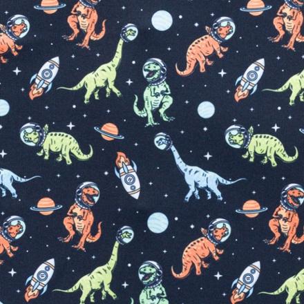 Swatch Image of color Galactic Dino