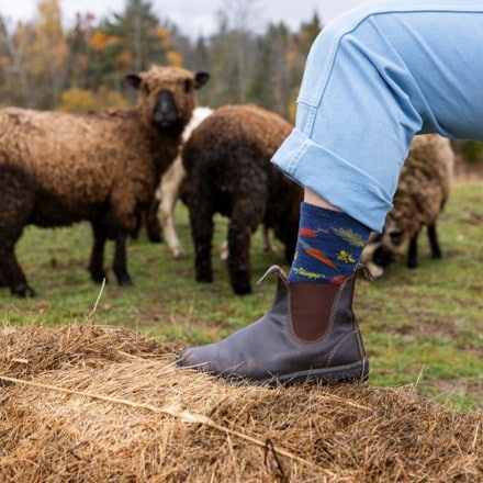 Darn Tough Farmer's Market Socks - Women's 5