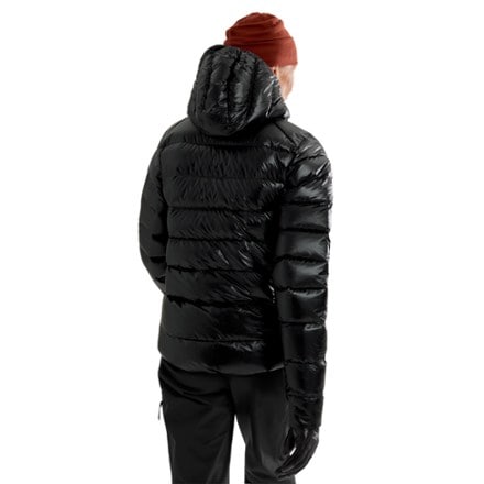 Arc'teryx Cerium SV Down Hoody - Women's 2