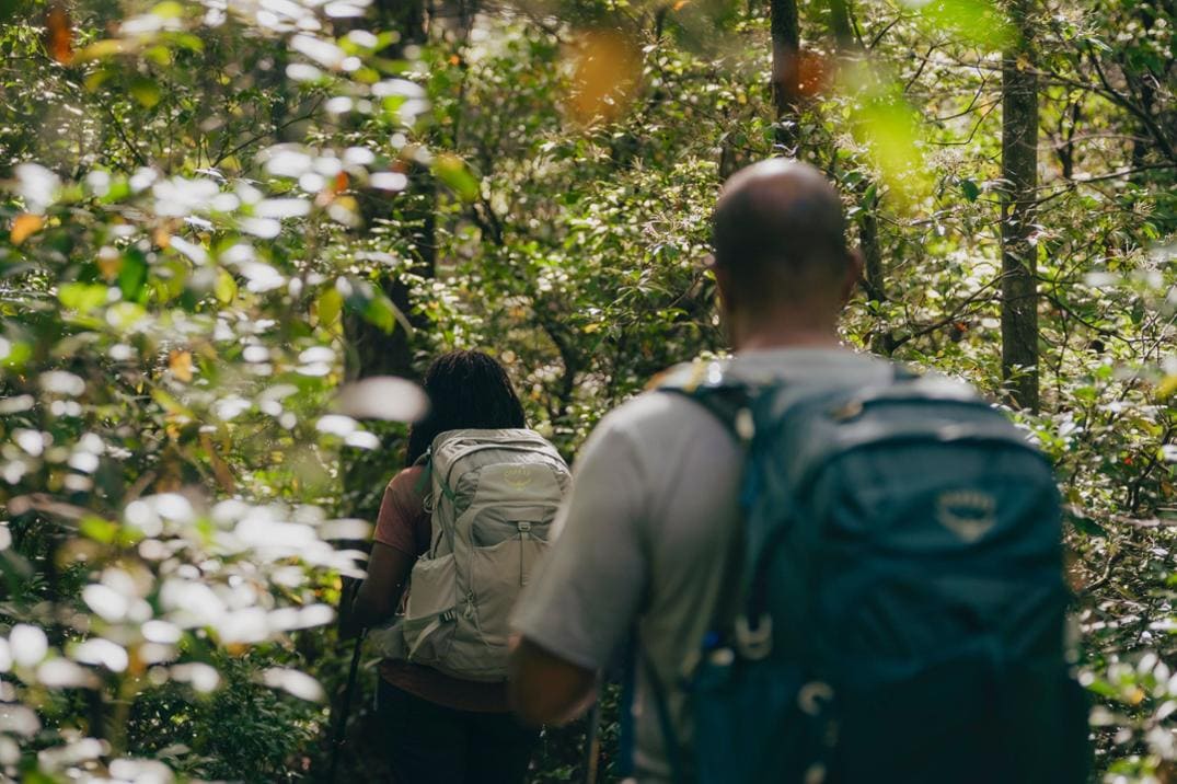 Location Image for Manta 24 Hydration Pack - Men's