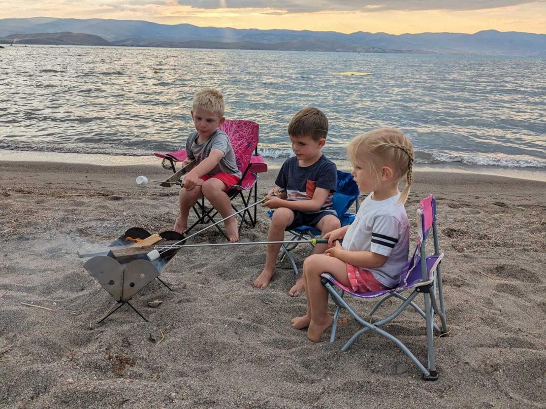 Location Image for Roasting Fork - Package of 2