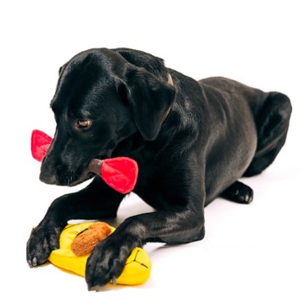 Play Pet Brands Camp Corbin K9 Kayak Dog Toy 5