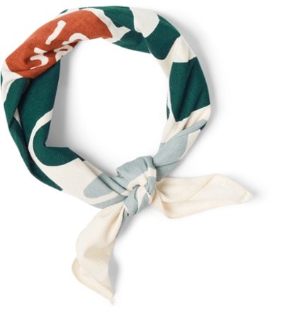 REI Co-op Graphic Bandana 2