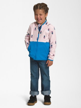 The North Face Glacier Full-Zip Hoodie - Toddlers' 2