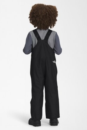 The North Face Freedom Insulated Bib Snow Pants - Toddlers' 1