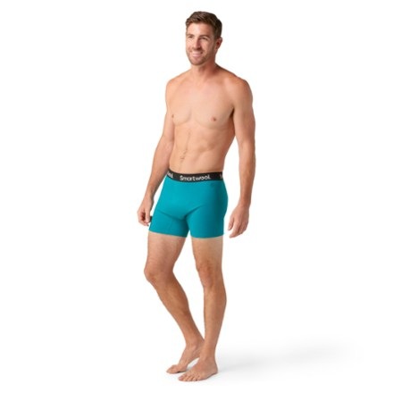 Smartwool Active Boxer Briefs - Men's 3