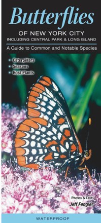 Quick Reference Publishing Butterflies of New York City 0
