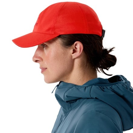 Arc'teryx Bird Word Cap 4