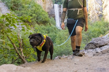 Ruffwear Stash Bag Plus 7